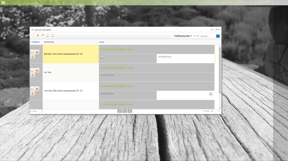 Screenshot eines CRM Layoutfensters